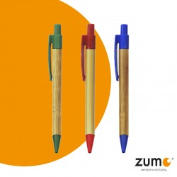 LAPICERO ECOLÓGICO DE COLOR