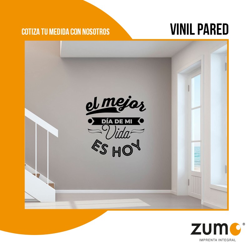 VINIL ADHESIVO + PLASTICO MATE